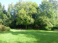 Wohnimmobilie Kauf Wohnbaugrundstück Seltene Gelegenheit! Eingewachsenes Grundstück in Waldnähe! Bieterverfahren!