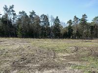 Wohnimmobilie Kauf Wohnbaugrundstück Schönes Baugrundstück in attraktiver Toplage