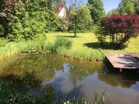 Wohnimmobilie Kauf Wohnbaugrundstück Traumhaft gelegendes und schön eingewachsenes Baugrundstück in sehr ruhiger Ortsrandlage in Heideck OT