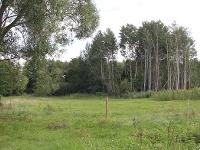 Wohnimmobilie Kauf Wohnbaugrundstück Wohnbaugrundstück in Bad Liebenwerda