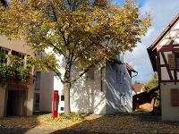 Wohnimmobilie Kauf Erdgeschosswohnung Sofort frei: Eine schöne, barrierearme Erdgeschosswohnung in Ottmarsheim