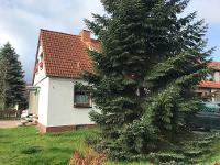 Wohnimmobilie Kauf Einfamilienhaus Machen Sie es sich gemütlich - Haus sucht kleine Familie !