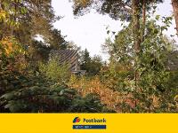 Wohnimmobilie Kauf Wohnbaugrundstück Sofort bebaubares Grundstück in waldnaher Bestlage von Müggelheim