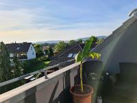 Wohnimmobilie Kauf Etagenwohnung Moderne ETW im Herzen von Fischbeck